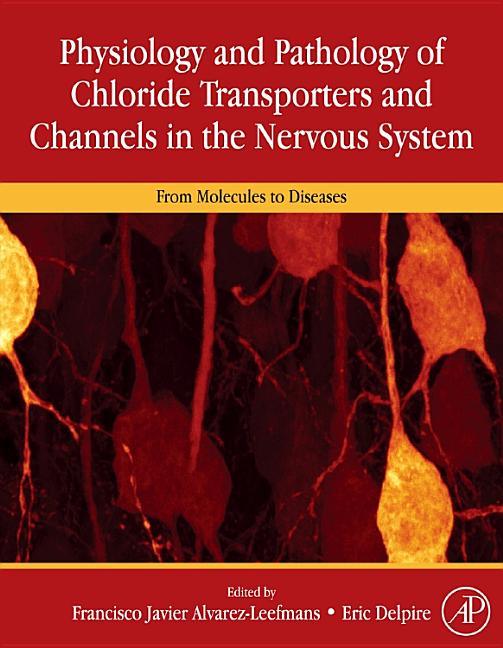 Physiology and Pathology of Chloride Transporters and Channels in the Nervous System: From Molecules to Diseases - stevensbooks