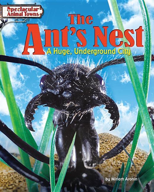 Ant's Nest: A Huge, Underground City - stevensbooks