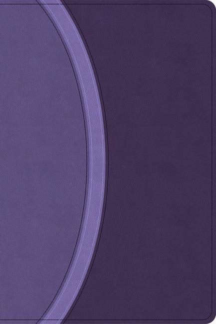 CSB Rainbow Study Bible, Purple Leathertouch (Limited Edition) - stevensbooks