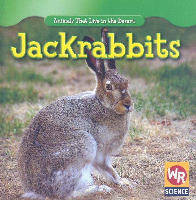 Jackrabbits - stevensbooks