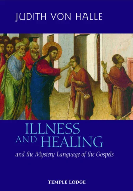 Illness and Healing: And the Mystery Language of the Gospels - stevensbooks