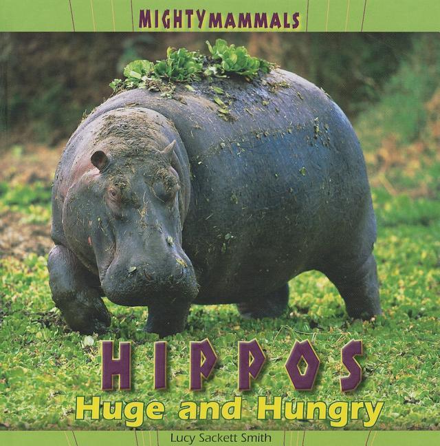 Hippos - stevensbooks