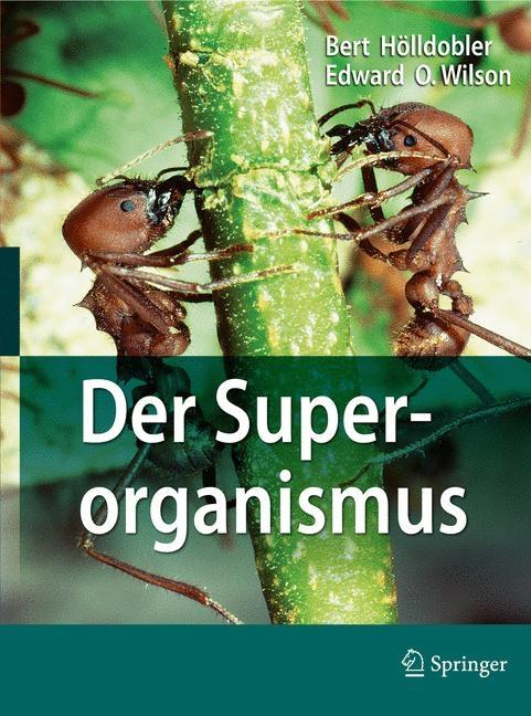 Der Superorganismus: Der Erfolg Von Ameisen, Bienen, Wespen Und Termiten (2010) - Ingram
