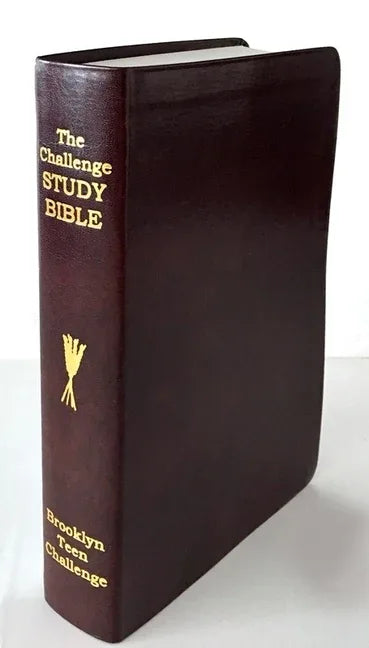 CEV Challenge Study Bible-Flexi Cover - stevensbooks
