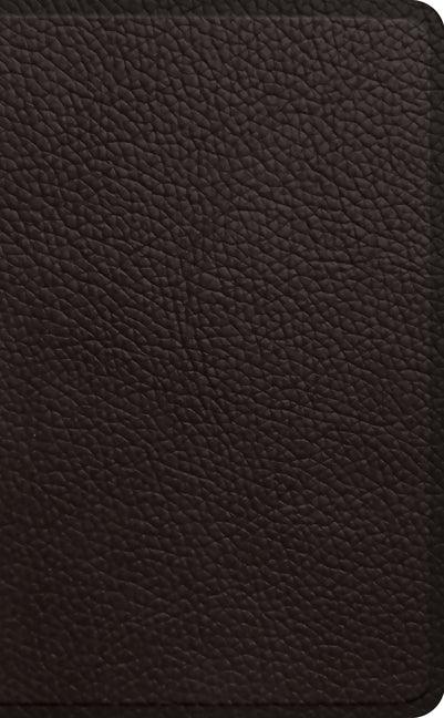 ESV Pocket Bible - stevensbooks