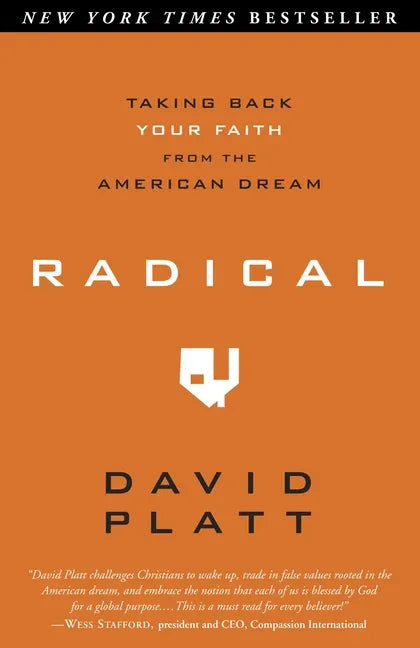Radical: Taking Back Your Faith from the American Dream - stevensbooks