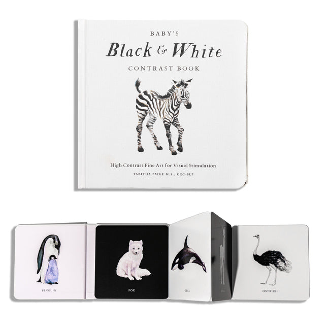 Baby's Black and White Contrast Book: High-Contrast Art for Visual Stimulation at Tummy Time - Ingram