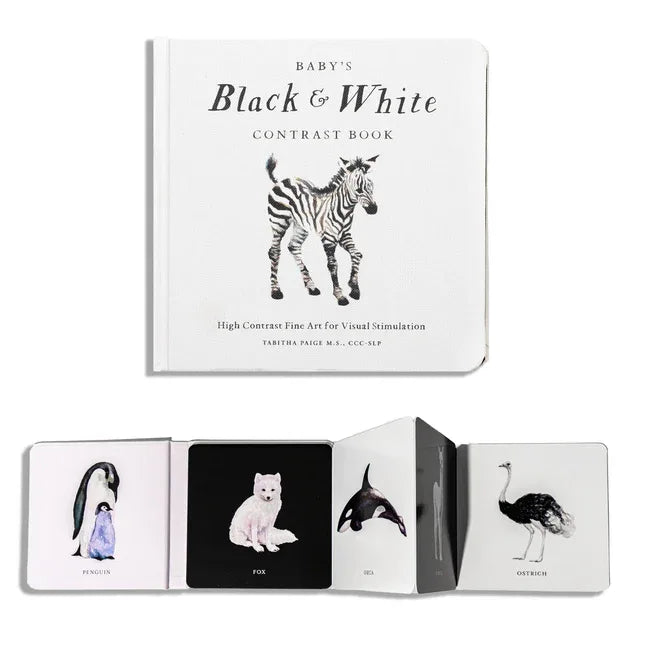 Baby's Black and White Contrast Book: High-Contrast Art for Visual Stimulation at Tummy Time - stevensbooks