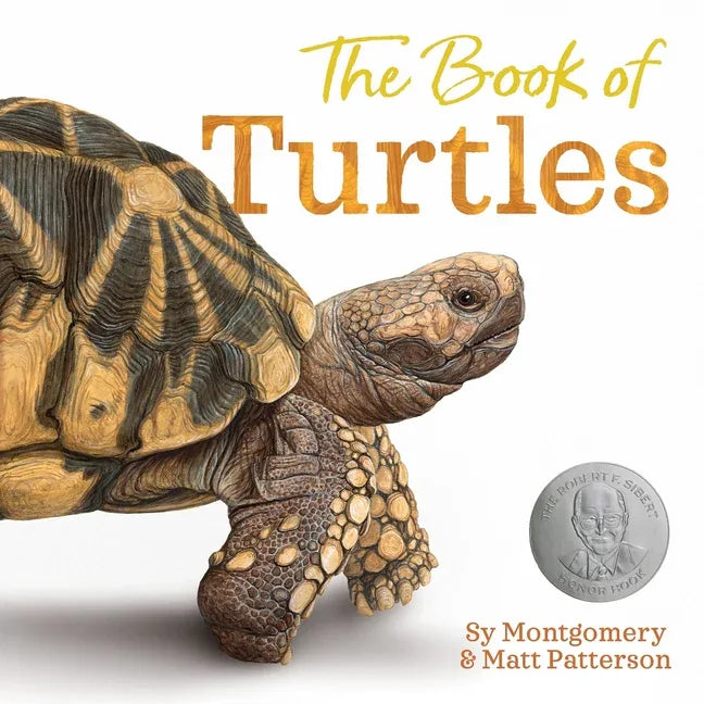 Book of Turtles - stevensbooks