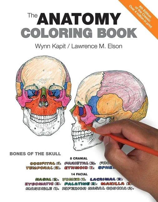 Anatomy Coloring Book - stevensbooks