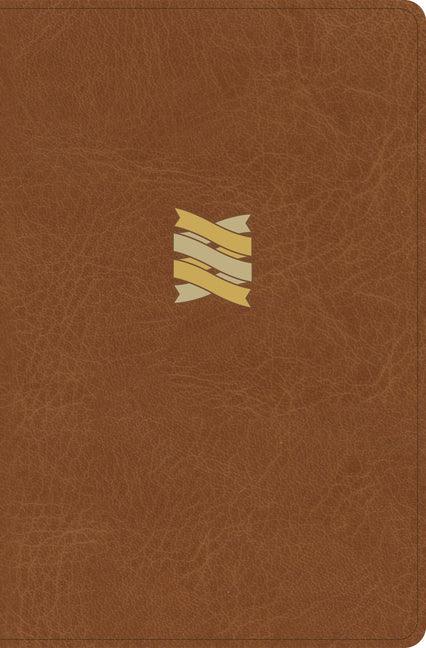 CSB Connecting Scripture New Testament, Brown Leathertouch: A Study Bible of Biblical Allusions and Quotations - stevensbooks