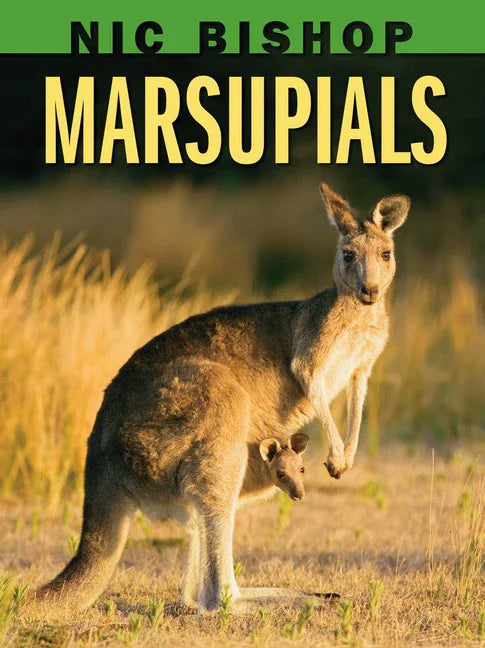 Nic Bishop: Marsupials - stevensbooks