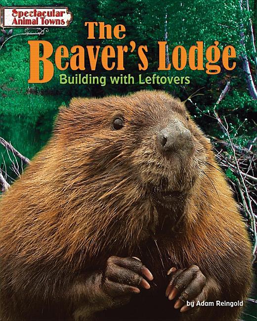 Beaver's Lodge: Building with Leftovers - stevensbooks