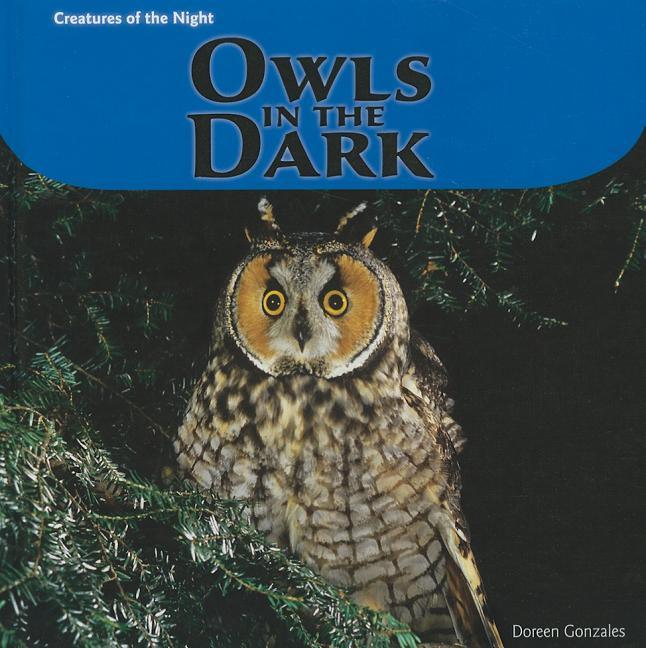 Owls in the Dark - stevensbooks