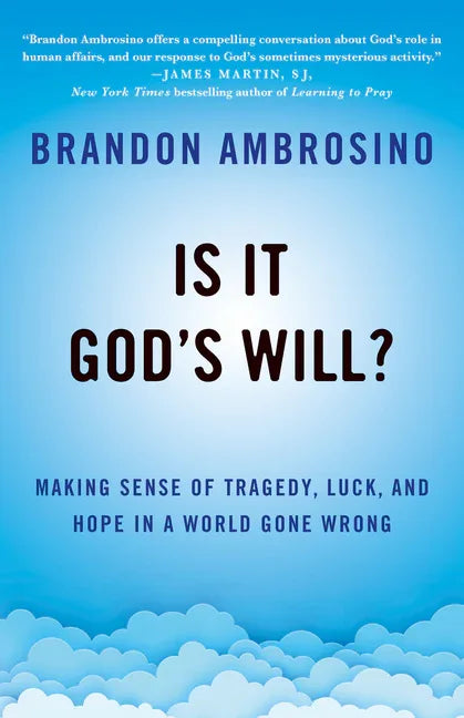 Is It God's Will?: Making Sense of Tragedy, Luck, and Hope in a World Gone Wrong - stevensbooks