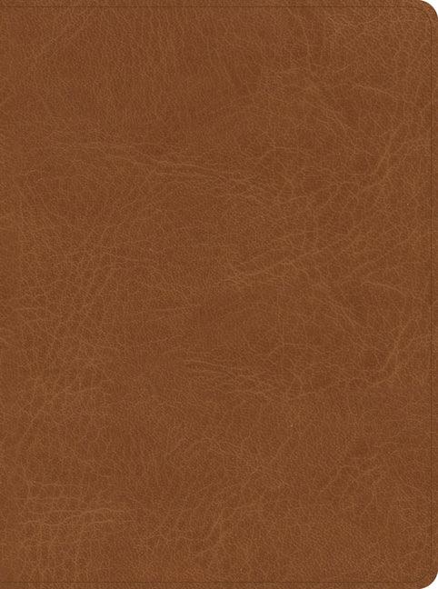 CSB He Reads Truth Bible, Saddle Leathertouch, Indexed - stevensbooks