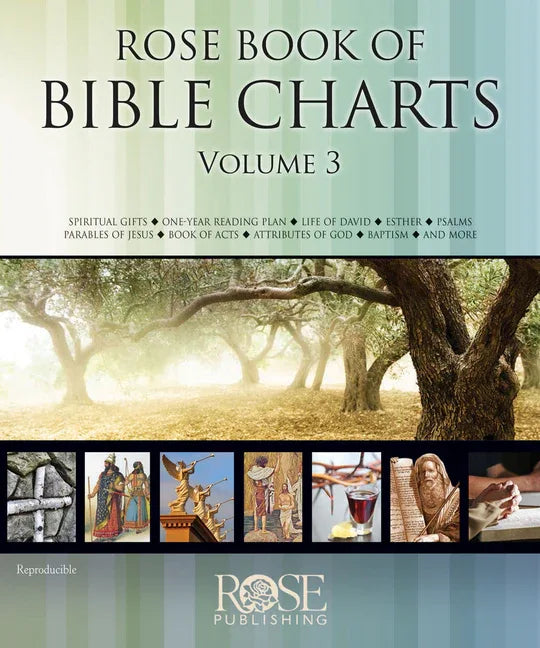Rose Book of Bible Charts, Volume 3 - stevensbooks