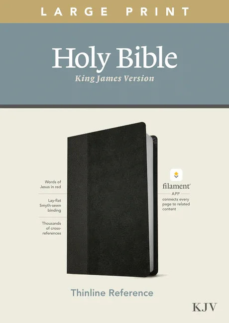 KJV Large Print Thinline Reference Bible, Filament Enabled Edition (Red Letter, Leatherlike, Black/Onyx) - stevensbooks