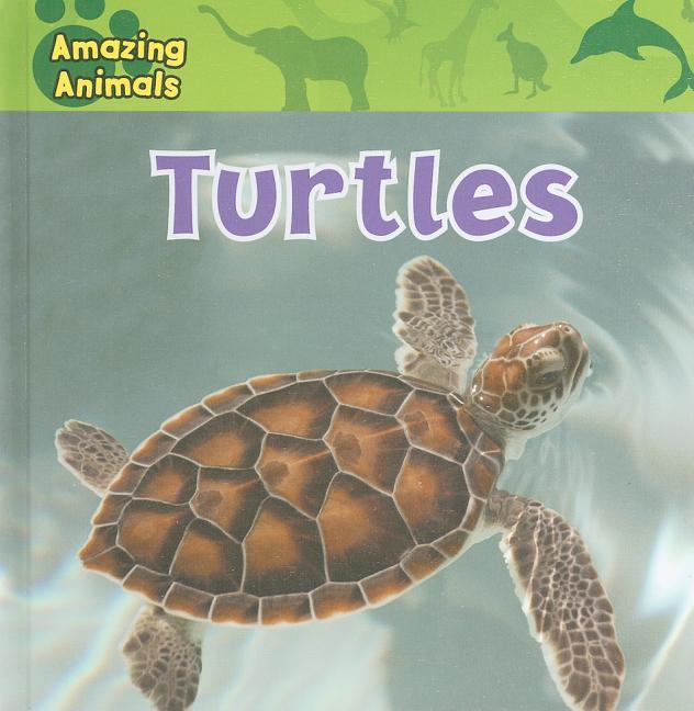 Turtles - stevensbooks
