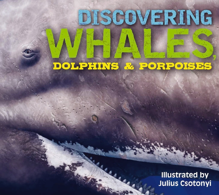 Discovering Whales, Dolphins and Porpoises: The Ultimate Guide to the Ocean's Largest Mammals - Ingram