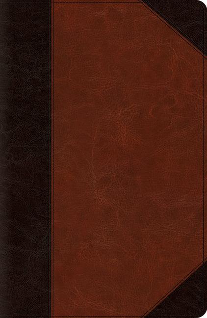 New Reference Bible-ESV-Portfolio Design - stevensbooks
