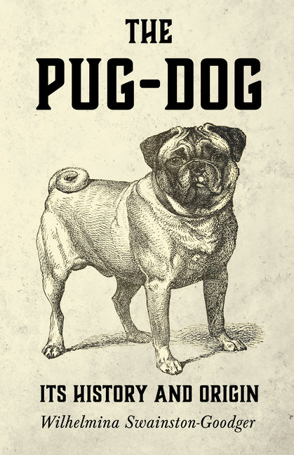 Pug-Dog - Its History and Origin - Ingram