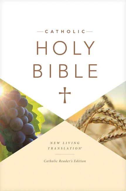 Catholic Holy Bible Reader's Edition - stevensbooks