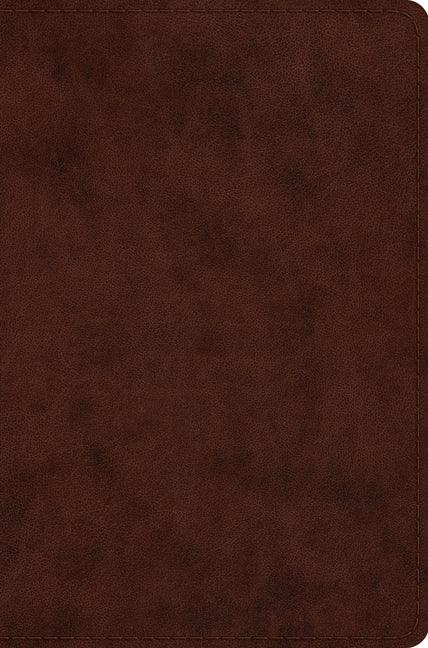 Compact Bible-ESV - stevensbooks