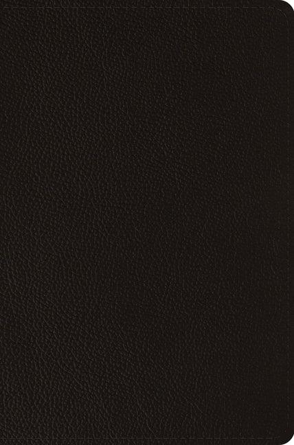 ESV Compact Bible (Buffalo Leather, Deep Brown) - stevensbooks