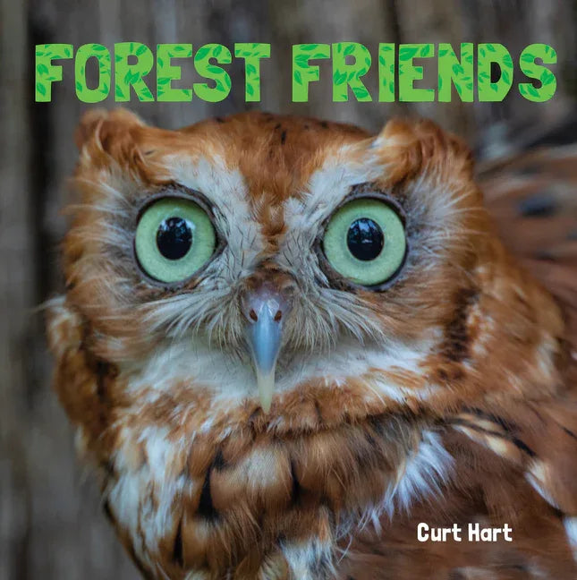 Forest Friends - stevensbooks