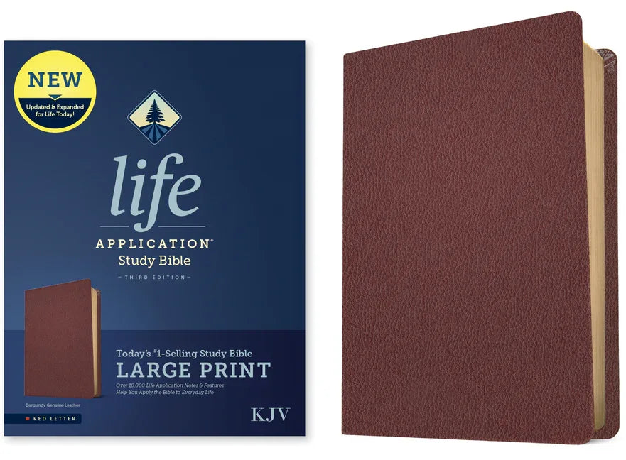 KJV Life Application Study Bible, Third Edition, Large Print (Genuine Leather, Burgundy, Red Letter) - stevensbooks