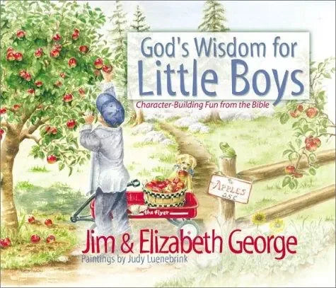 God's Wisdom for Little Boys: Character-Building Fun from Proverbs - stevensbooks