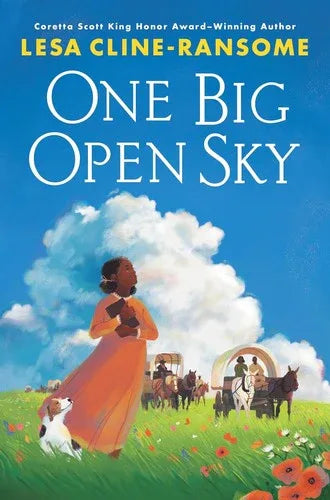 One Big Open Sky - stevensbooks