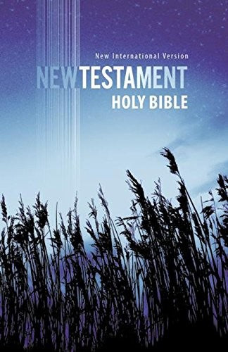 Outreach New Testament-NIV