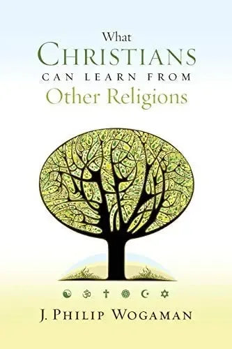 What Christians Can Learn from Other Religions - stevensbooks