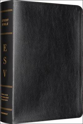 Study Bible-ESV - stevensbooks