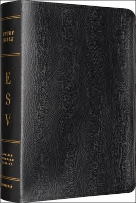 Study Bible-ESV