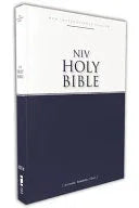 Economy Bible-NIV: Accurate. Readable. Clear. (Special) - stevensbooks