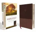 Amplified Study Bible, Imitation Leather, Brown - stevensbooks