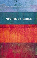 NIV, Value Outreach Bible, Paperback (Special)