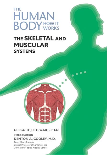 Skeletal and Muscular Systems - Ingram