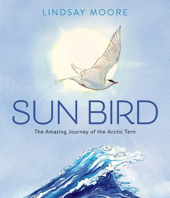 Sun Bird: The Amazing Journey of the Arctic Tern - Ingram