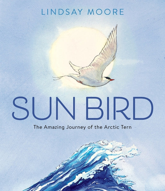 Sun Bird: The Amazing Journey of the Arctic Tern - Ingram