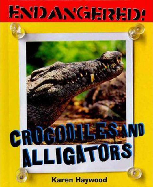 Crocodiles and Alligators - Ingram