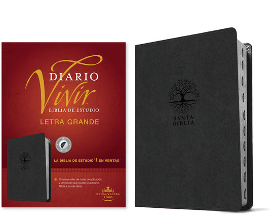Biblia de Estudio del Diario Vivir Rvr60, Letra Grande (Sentipiel, Carbón, Índice, Letra Roja) - Ingram