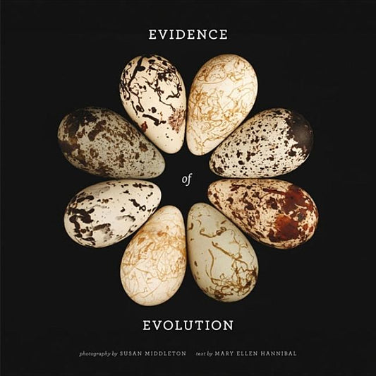 Evidence of Evolution - Ingram