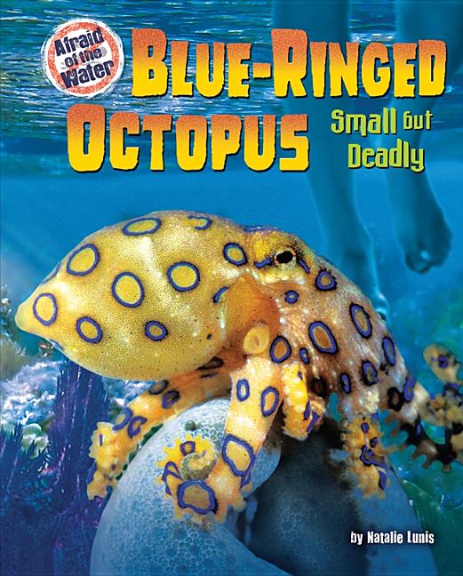 Blue-Ringed Octopus: Small But Deadly - Ingram