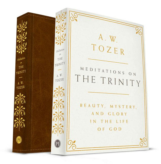 Meditations on the Trinity: Beauty, Mystery, and Glory in the Life of God - Ingram