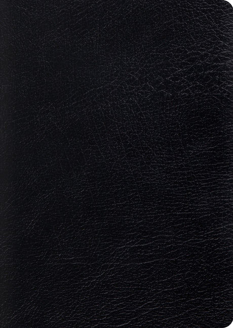 Study Bible-ESV-Large Print - Ingram