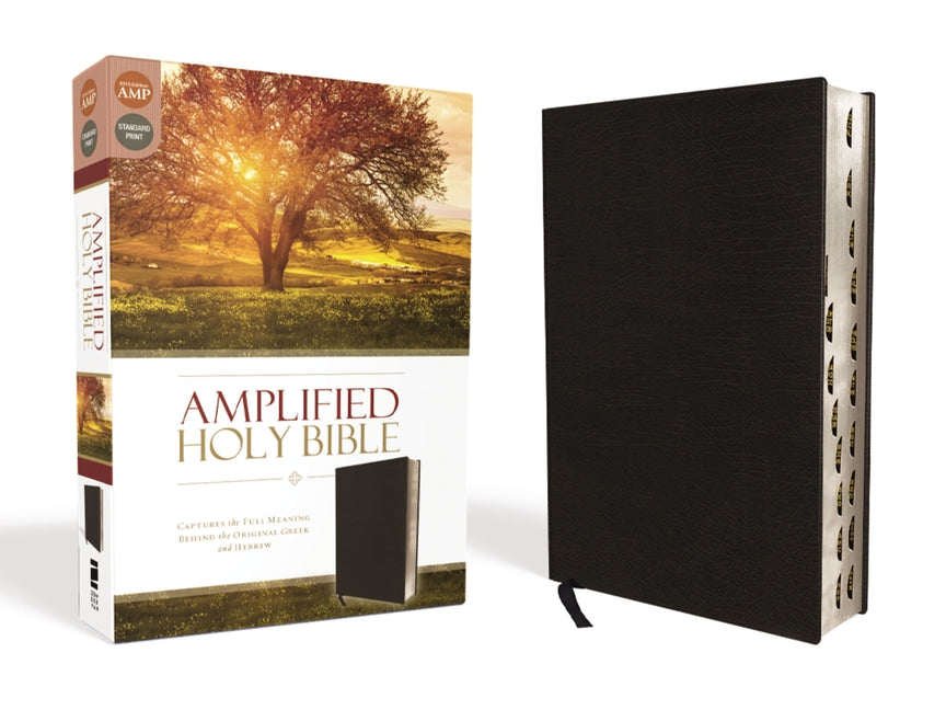 Amplified-Am: Captures the Full Meaning Behind the Original Greek and Hebrew - Ingram